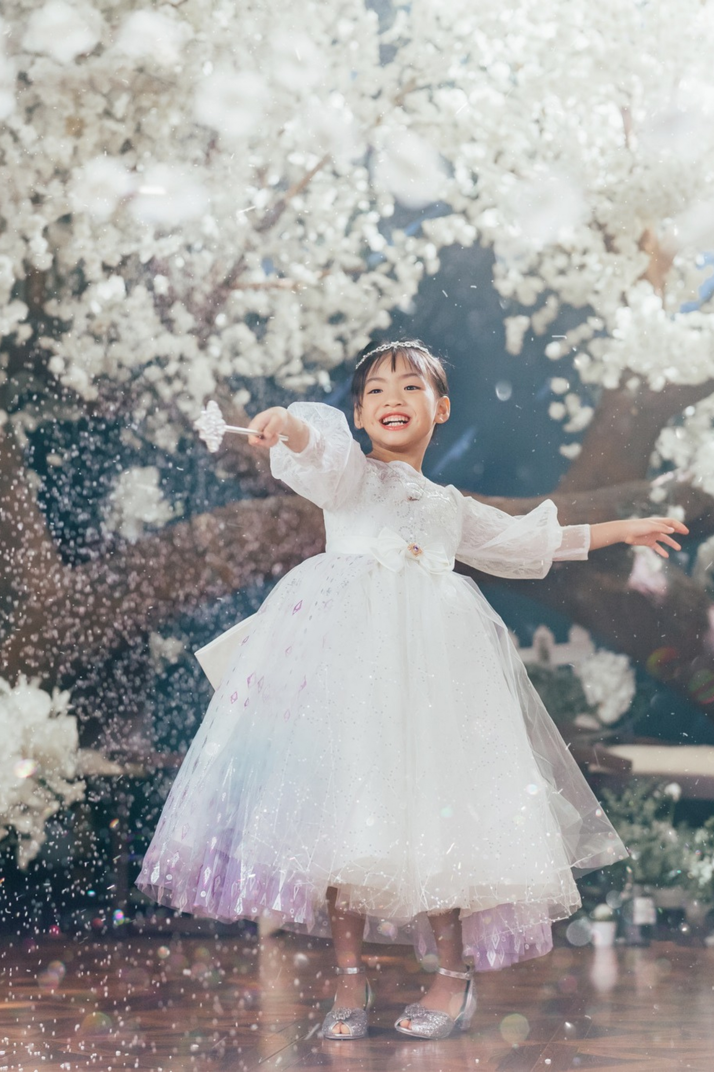 Elsa Ombre Ice Queen Gown with Pearl-embellished Cape