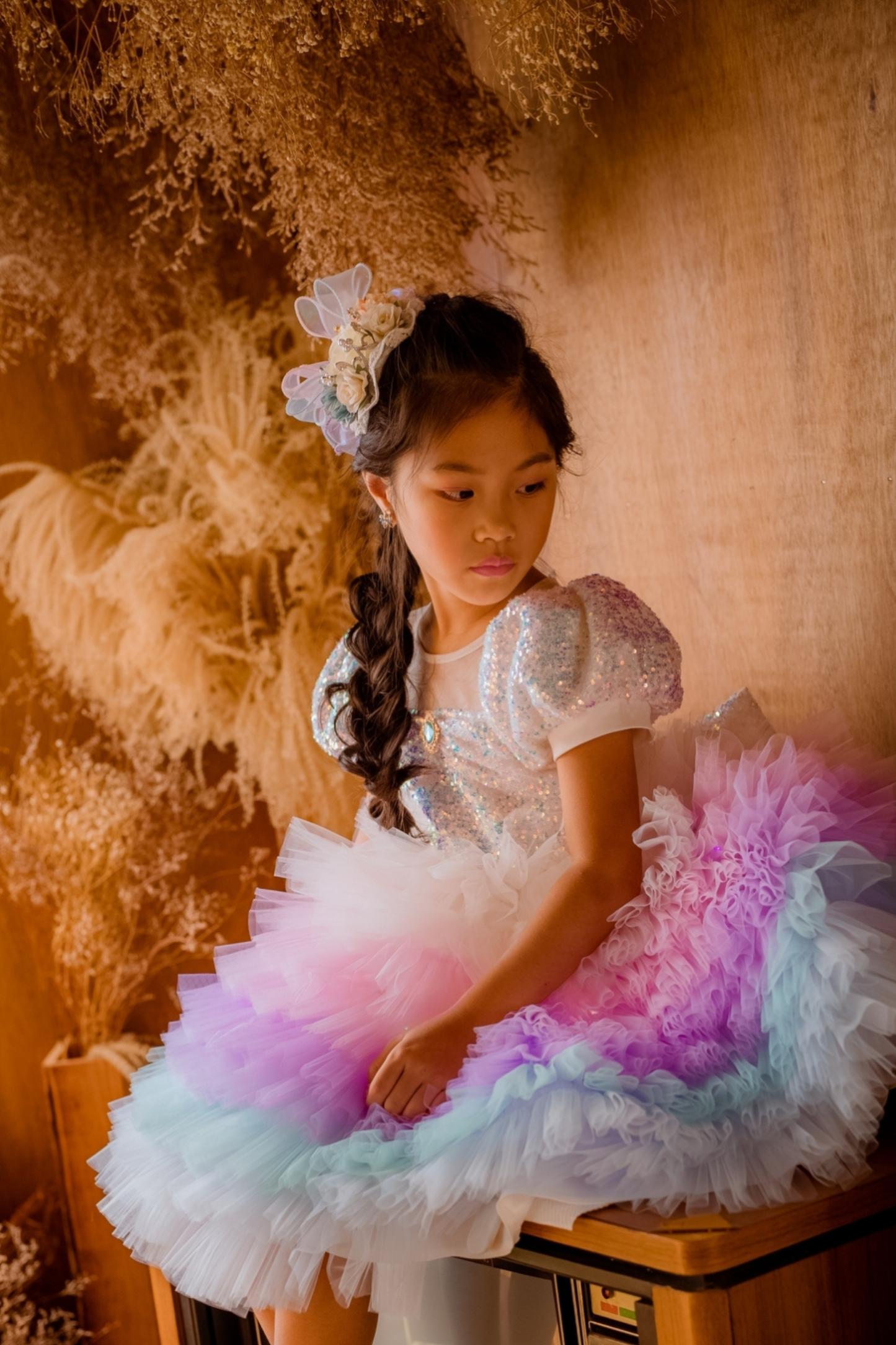 Lilac & Pink Sugar Plum Fairy Ombre Tulle Dress