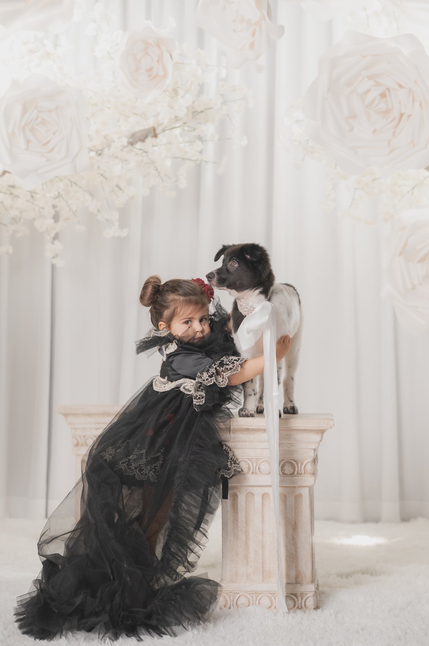 Ready-to-Ship ★ Queen of Hearts Red & Black Lace Set (Dress & Coat)