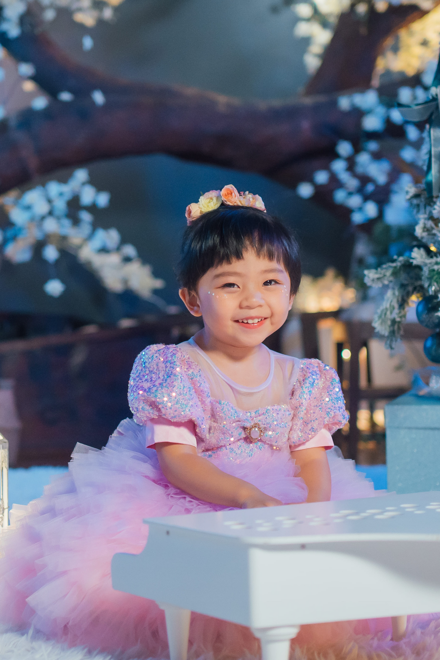 Lilac & Pink Sugar Plum Fairy Ombre Tulle Dress