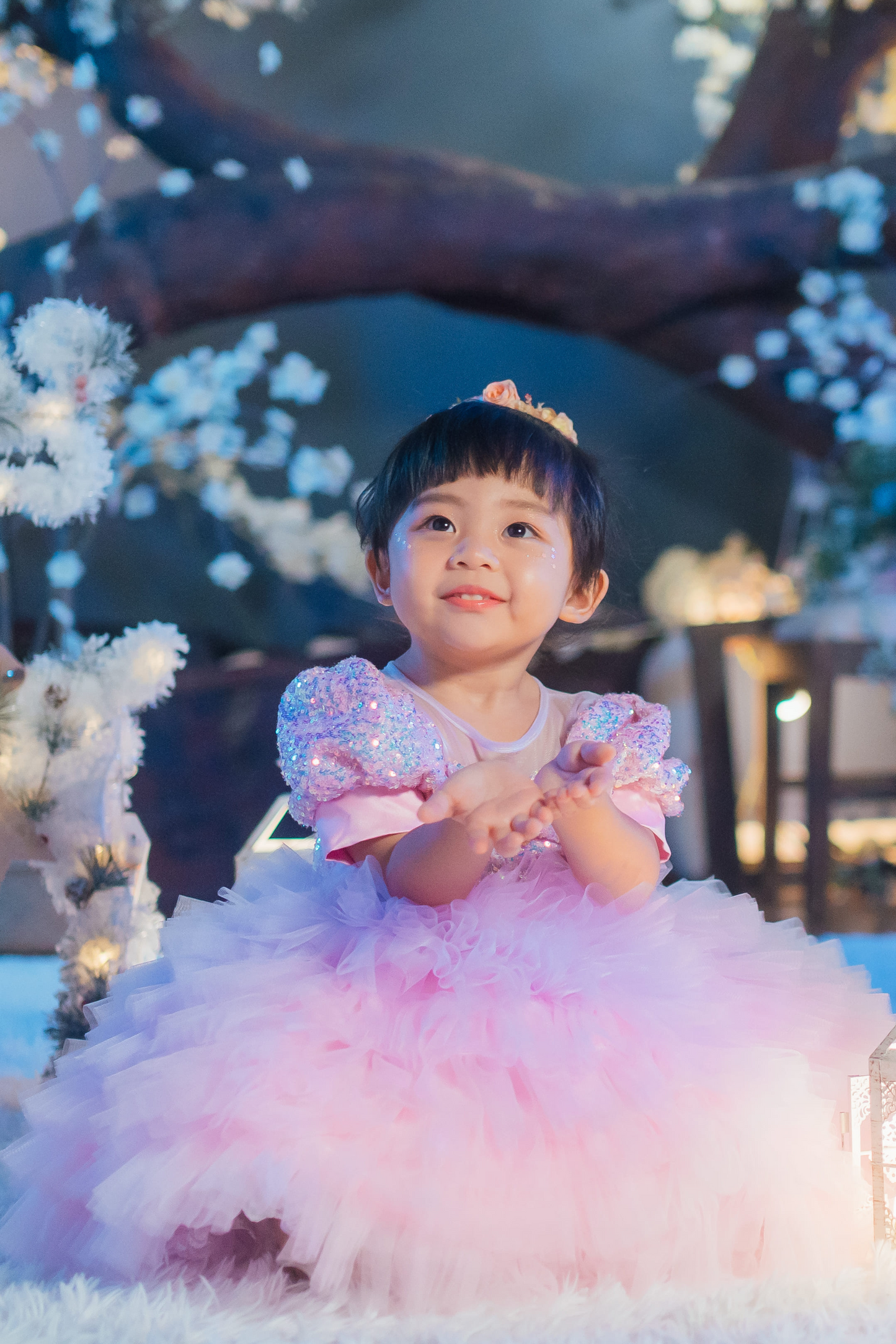 Lilac & Pink Sugar Plum Fairy Ombre Tulle Dress