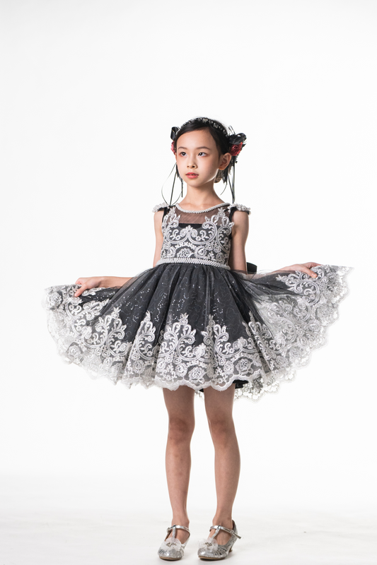 Ready-to-Ship ★ Black Swan - Black & Silver Lace Dress