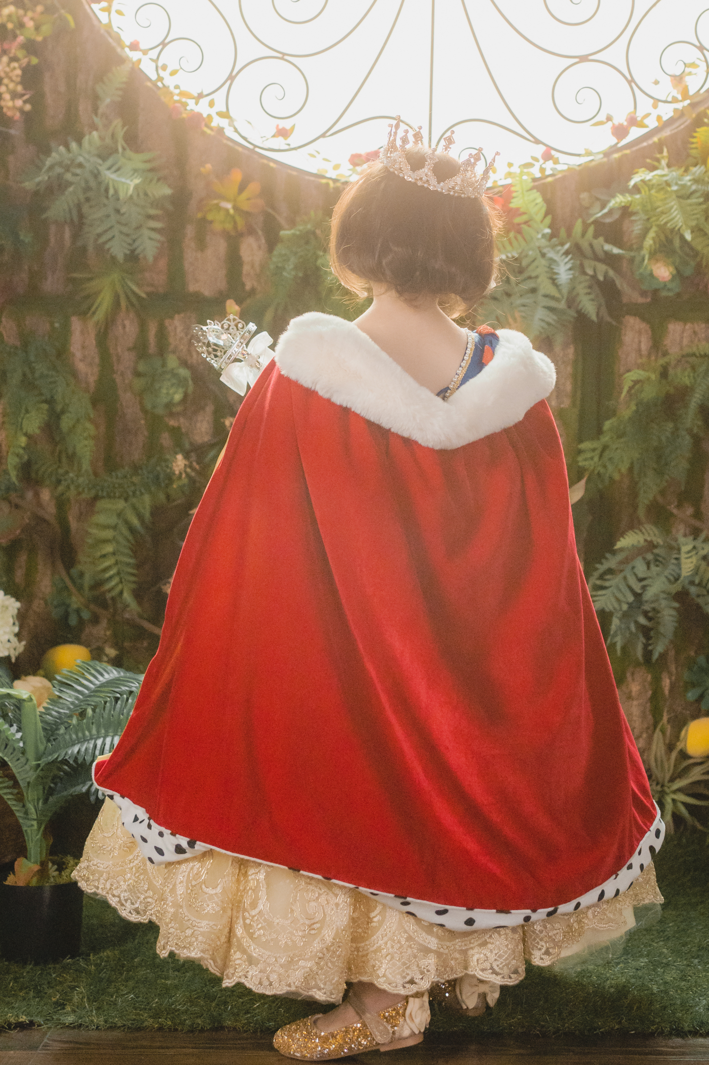 Snow White Blue, Red & Yellow Gown