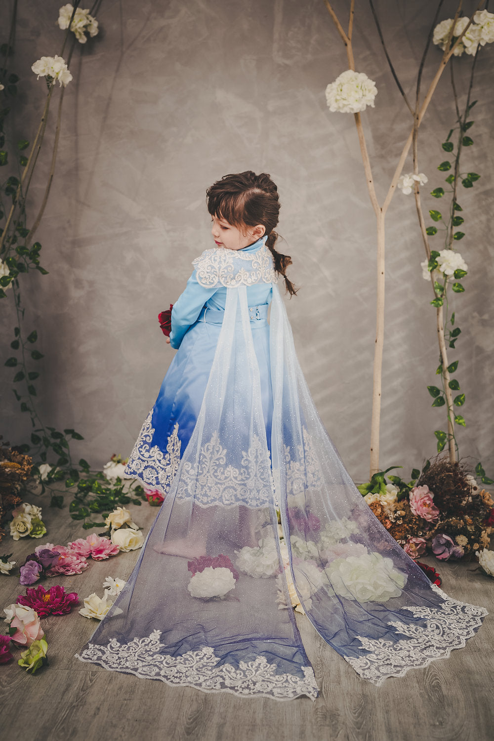 Elsa Blue Ombre Coat Dress